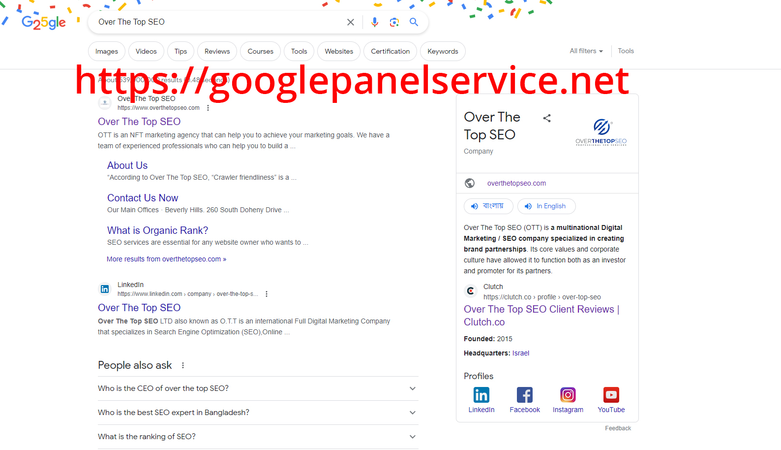 Company Panel - Google Panel Service