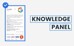 google panel service Project